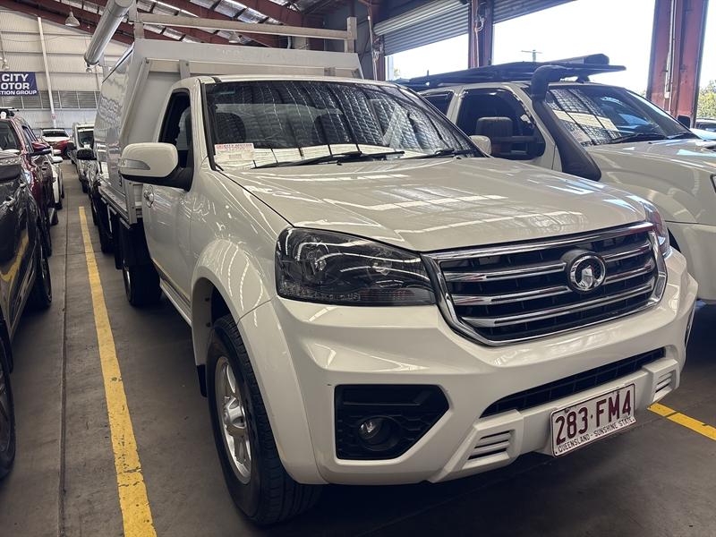 2021 Gwm Steed