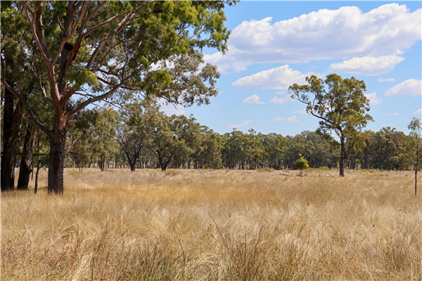 <p>"Springvale"</p><p>1448.391 Hectares (3,579 acres) Freehold Tenure<br></p>